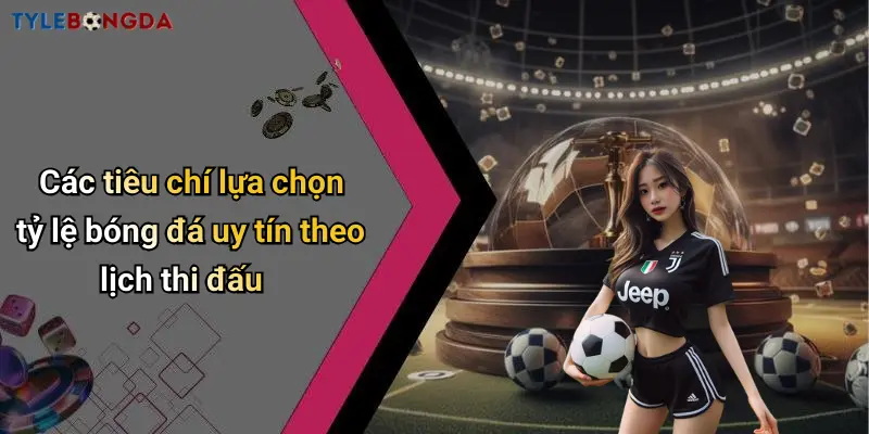 Các tiêu chí lựa chọn tỷ lệ bóng đá uy tín theo lịch thi đấu