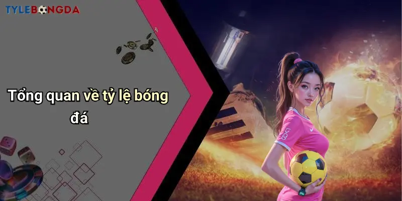 Tổng quan về tỷ lệ bóng đá