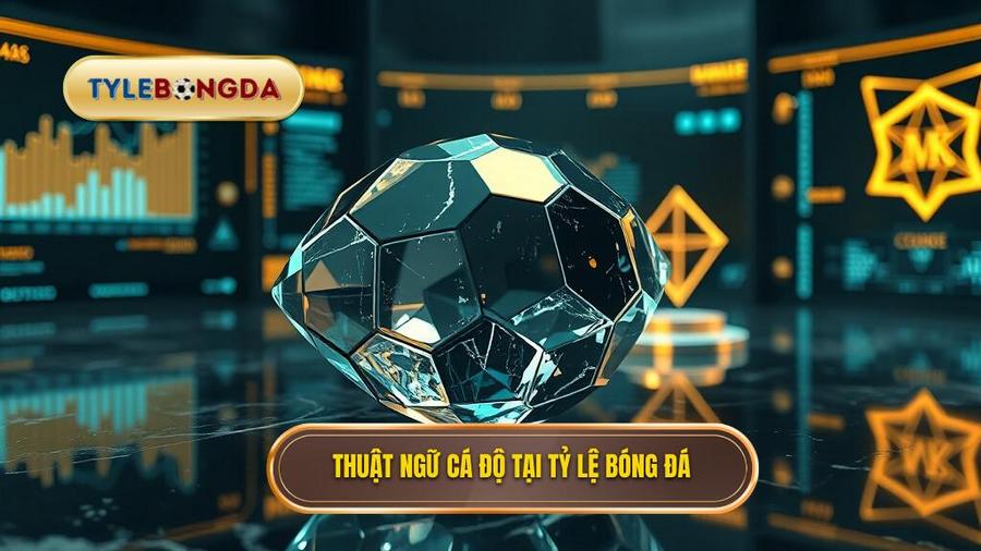 Thuật ngữ cá độ tại TỶ LỆ BÓNG ĐÁ